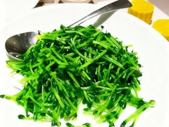 -明州府(文化广场店)