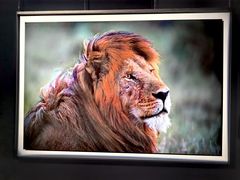 -罗红摄影艺术馆