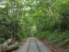 -五营红松林海景区