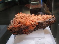 -湖南省地质博物馆