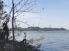 -东湖落雁景区