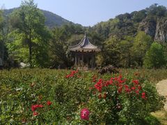 -广州市石门国家森林公园