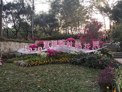 -莲花山公园