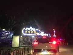 -枫花园汽车电影院(朝阳公园店)