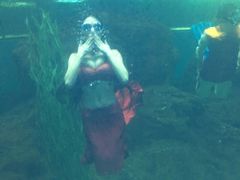 -洛阳龙门海洋馆