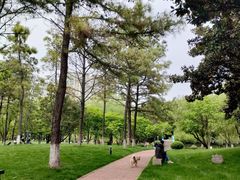 -中央公园(苏州工业园区)