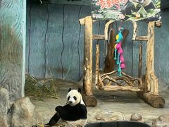 -海南热带野生动植物园
