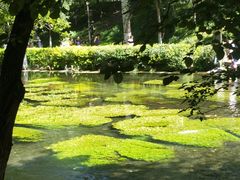 -水磨沟公园