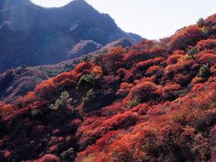 -水峪民俗村