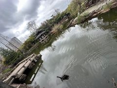 -水绘园