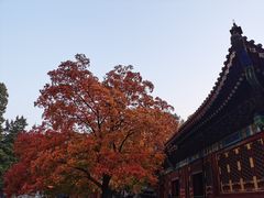 -香山公园