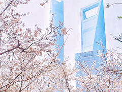 -静安雕塑公园