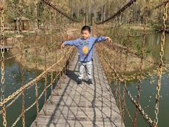 -合肥滨湖国家森林公园