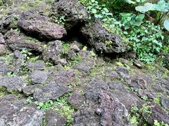 -海口火山口国家地质公园