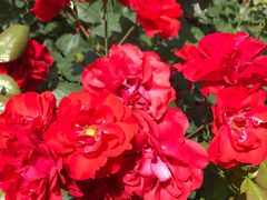 -苏州河梦清园环保主题公园