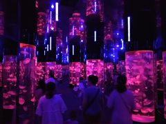 -成都浩海立方海洋公园