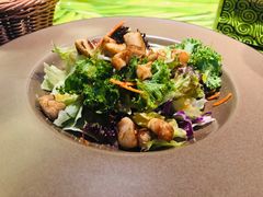 烤鸡肉芝士蔬菜沙拉-华阳时光吧餐厅(华阳广场国际大饭店)