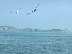 -威海国际海水浴场旅游区