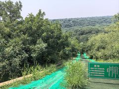 -大青沟风景区