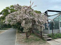 -尚尚仙·酸汤猪手·猪肚鸡火锅(华联万柳购物中心店)