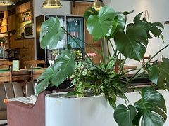 -FUNFUN有饭花园聚会餐厅