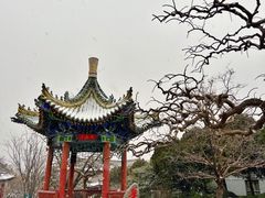 -华清宫景区