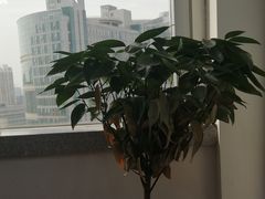 -君申律师事务所