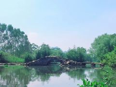 -会仙湿地