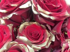 -ROSEONLY诺誓(广州K11店)