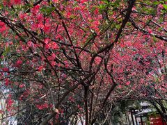 -人民公园-相亲角