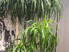 -隐厨·海鲜餐厅(恒通路店)