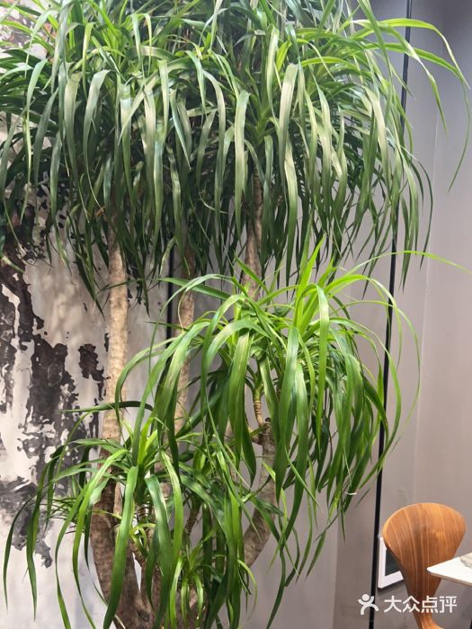 隐厨·海鲜大排档·地道莱州菜(恒通路店)图片