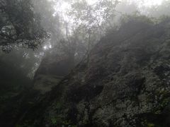 -藏龙百瀑风景区