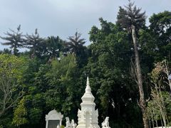 -西双版纳总佛寺