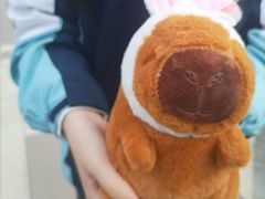 -上海市宝山区青少年活动中心