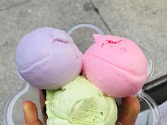 -成裕雪糕店(士多店)