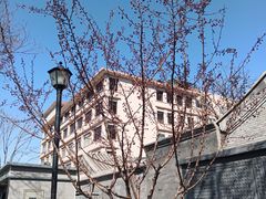 -北京师范大学附属中学