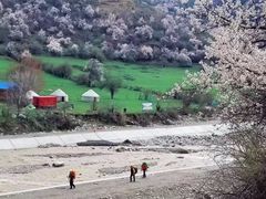 -中华福寿山