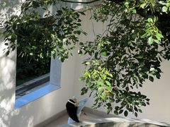 -湖北美术学院(昙华林校区)