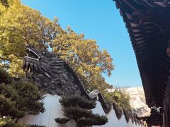 -豫园