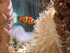 -太平洋海底世界