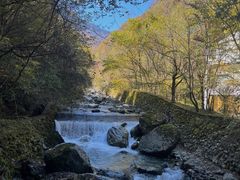 -神农架景区
