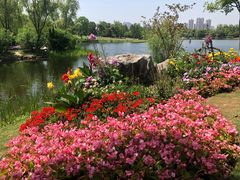 -武汉园博园(武汉自然博物馆)