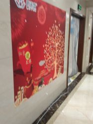 -碧莲盛·不剃发植发