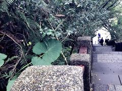 -金盆阿嬷香菇茶叶蛋(玄光店)