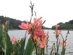 -南国桃园旅游度假区