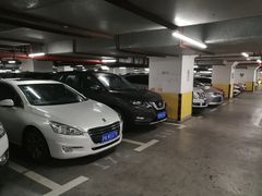 -中山公园-龙之梦停车场