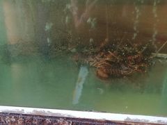 -QQ海鲜餐厅