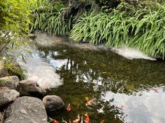 -泸州老窖景区
