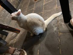 -张记牛肉面馆(天津路店)